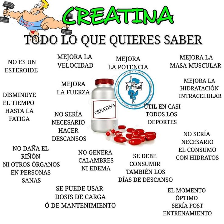 TN - CREATINA RENDIMIENTO Y RECUPERACION