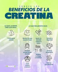 TN - CREATINA RENDIMIENTO Y RECUPERACION